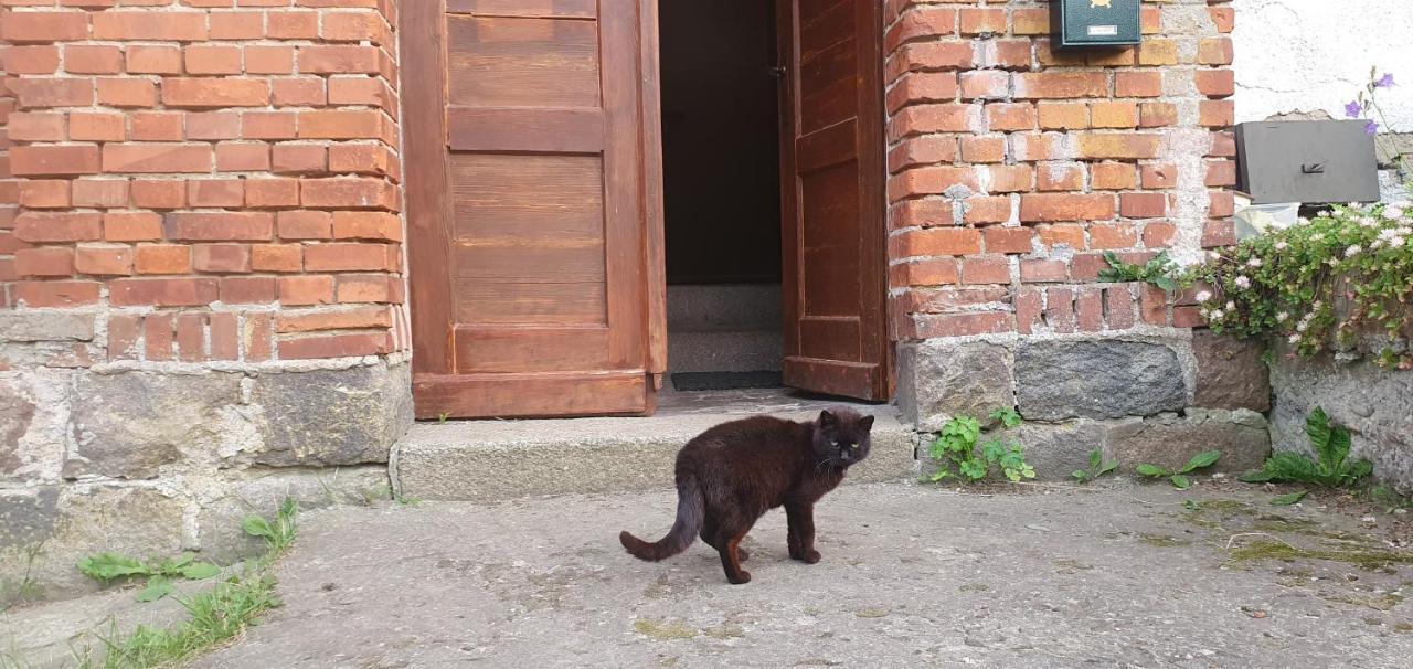 Willa Mazurska przystań Dąbrówno Zewnętrze zdjęcie